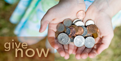 give now button